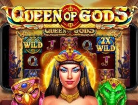 sbobet online review
